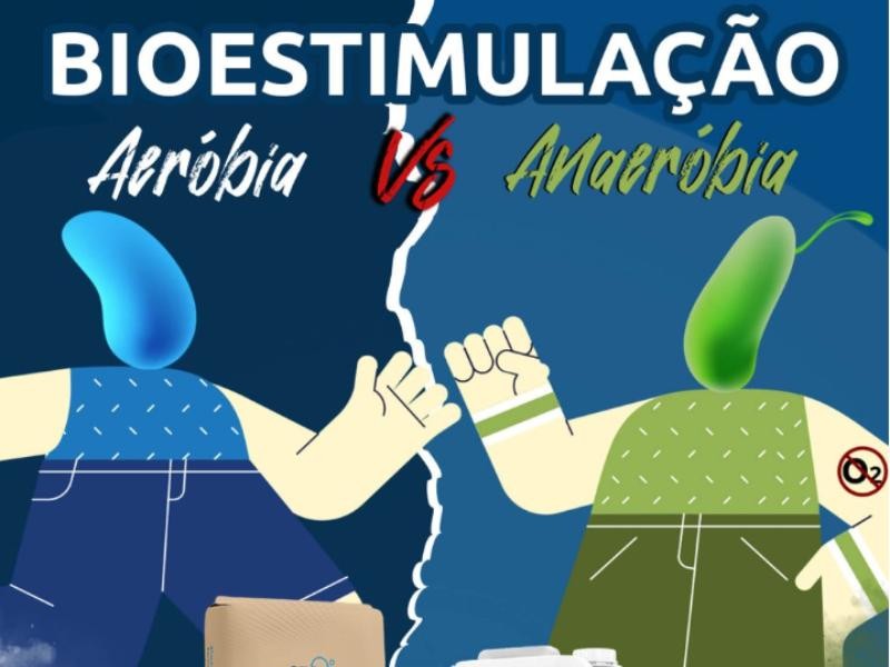Bioestimulação Aeróbia vs Anaeróbia