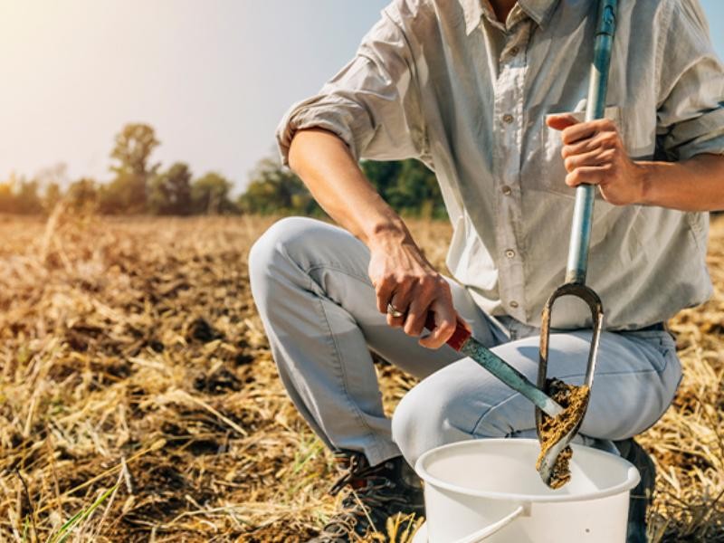 Amostragem e Análise de Solo